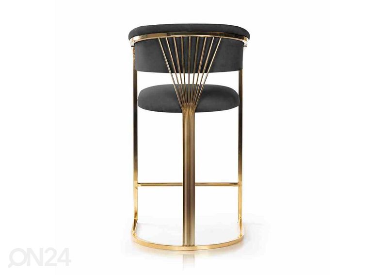 Baarijakkara Marcille kuvasuurennos