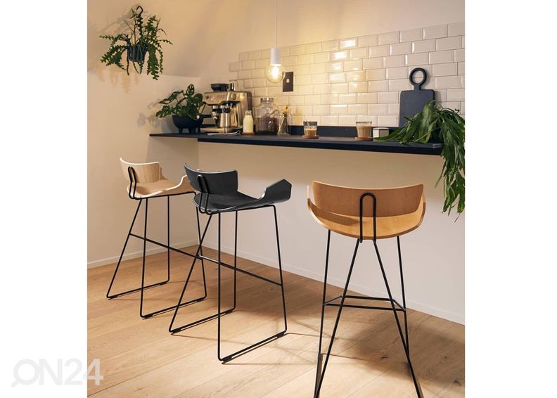 Baarijakkara Ray kuvasuurennos