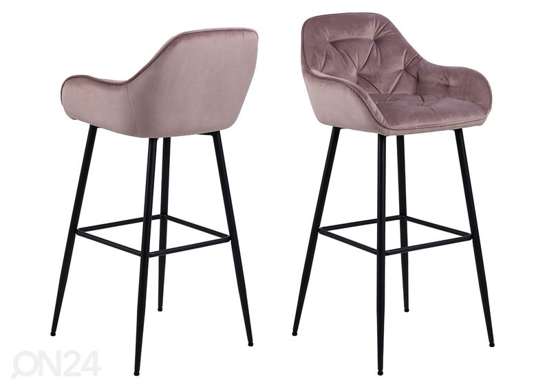 Baarijakkarat Brandy, 2 kpl kuvasuurennos