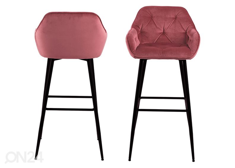 Baarijakkarat Brandy, 2 kpl kuvasuurennos