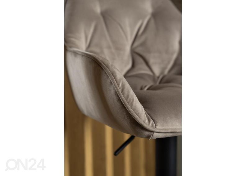 Baarijakkarat Brandy, 2 kpl kuvasuurennos