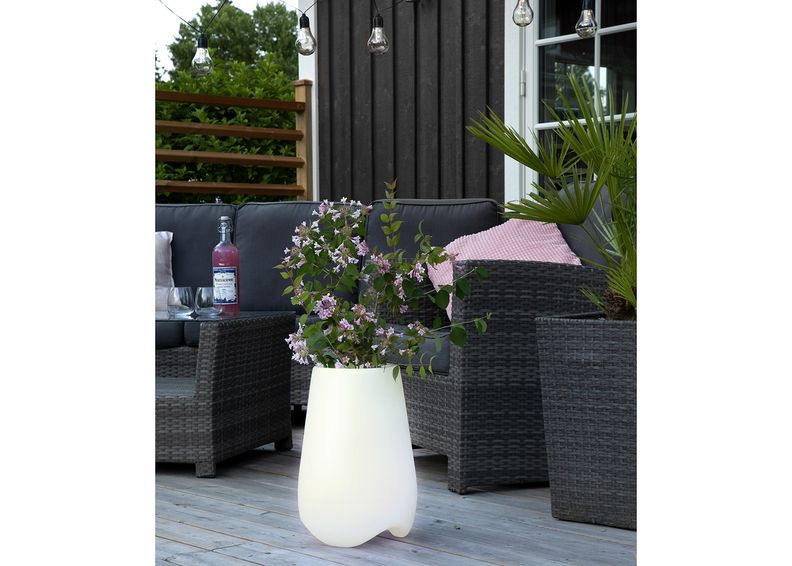 Dekoratiivi puutarhavalaisin kuvasuurennos