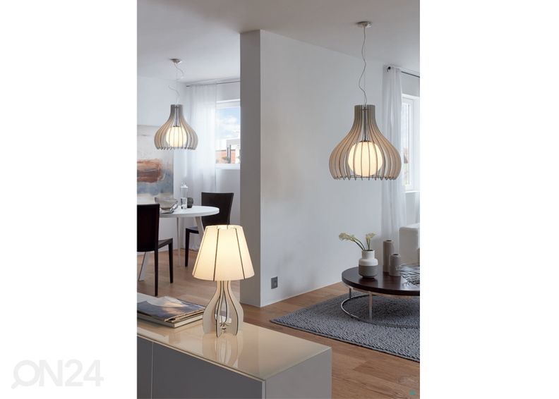 Eglo kattovalaisin Eglo kuvasuurennos