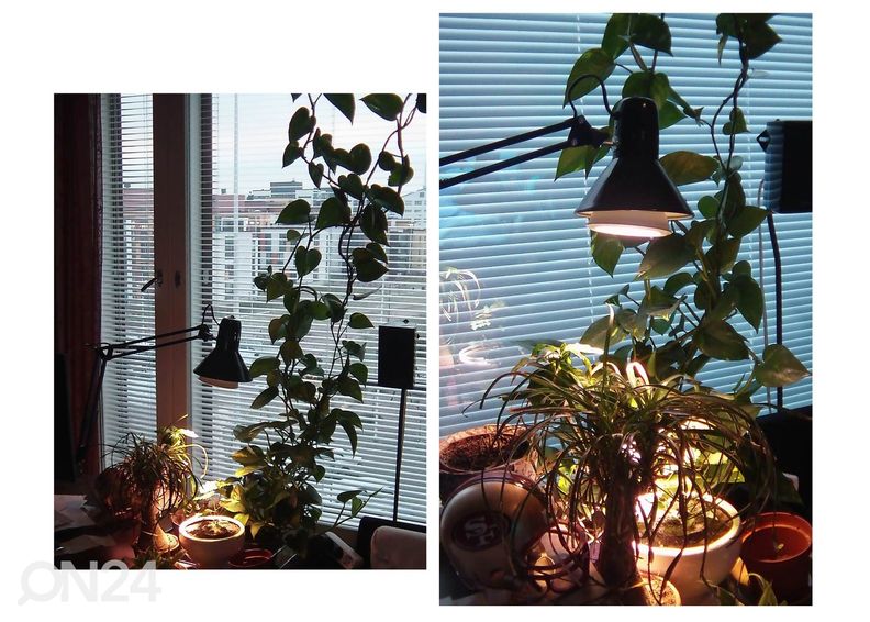 Eglo pöytävalaisin Firmo kuvasuurennos