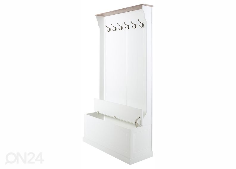 Eteisnaulakko Aster kuvasuurennos