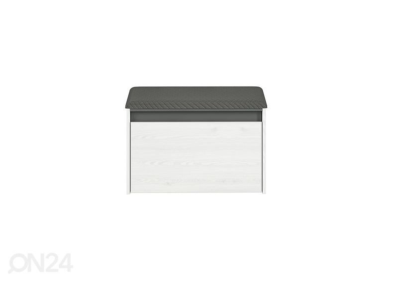 Eteispenkki kuvasuurennos