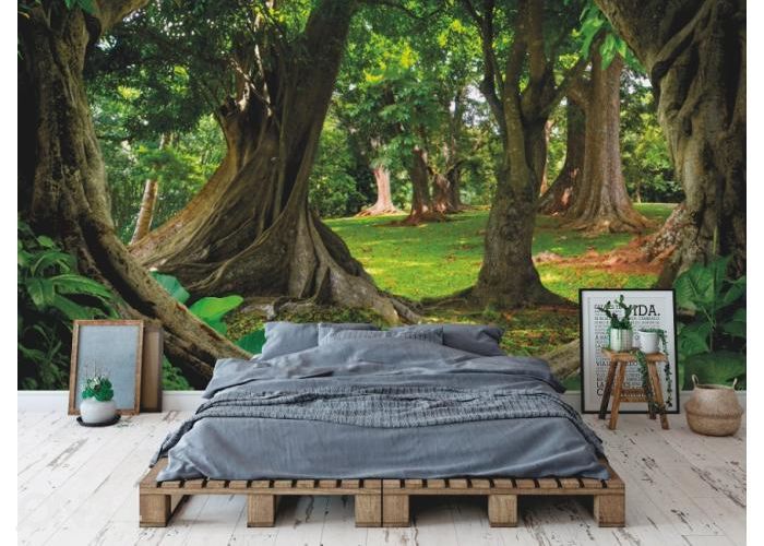 Fleece kuvatapetti Asian Jungle Forest 368x254 cm kuvasuurennos