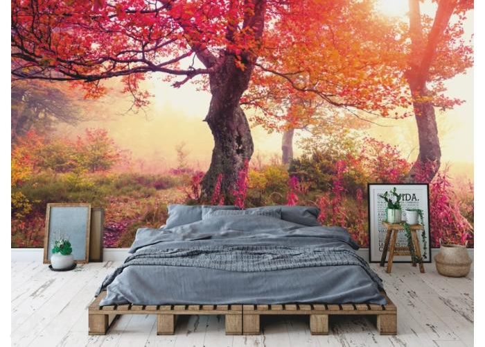 Fleece kuvatapetti Autumn Trees In Carpathians 368x254 cm kuvasuurennos