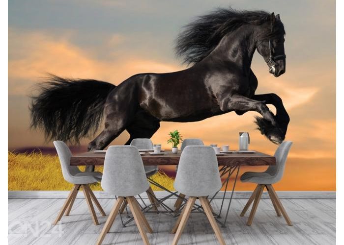 Fleece kuvatapetti Black Friesian Horse in Sunset 416x290 cm kuvasuurennos