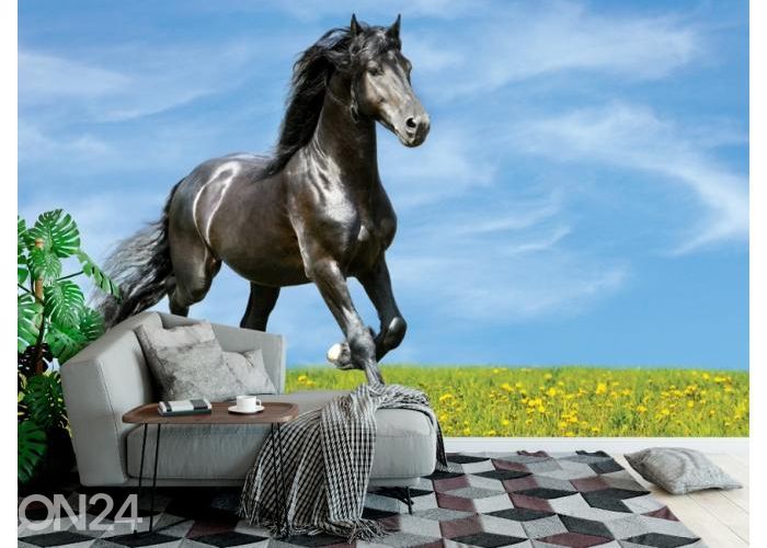 Fleece kuvatapetti Black Horse Runs Trot on the Meadow 416x290 cm kuvasuurennos