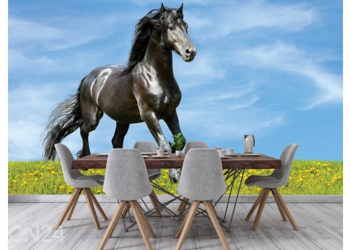 Fleece kuvatapetti Black Horse Runs Trot on the Meadow 416x290 cm kuvasuurennos