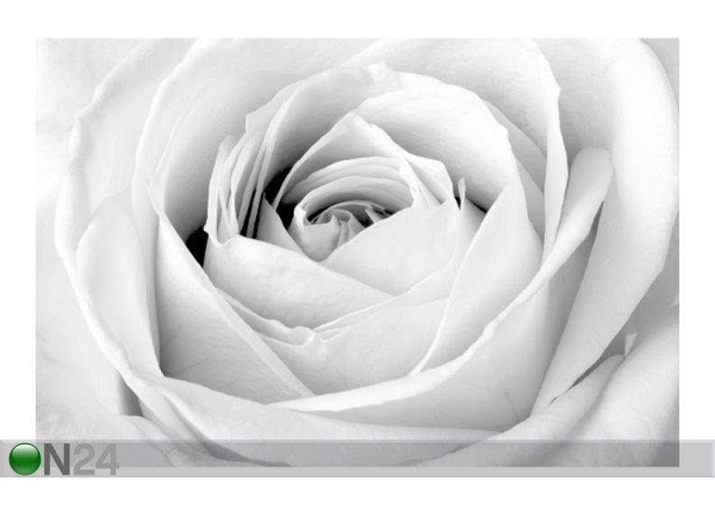 Fleece-kuvatapetti CLOSE UP ROSE kuvasuurennos