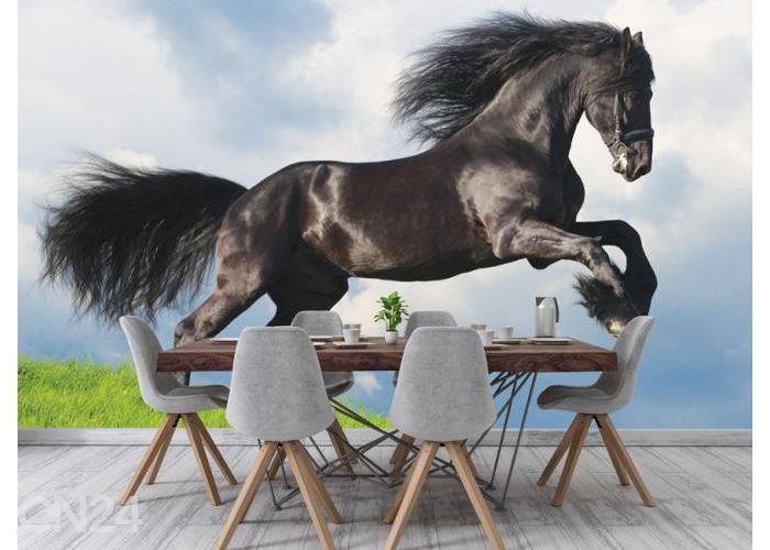 Fleece kuvatapetti Friesian Stallion Gallop in Field 400x260 cm kuvasuurennos