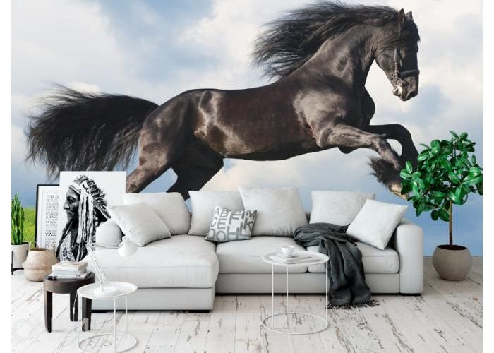 Fleece kuvatapetti Friesian Stallion Gallop in Field 400x260 cm kuvasuurennos