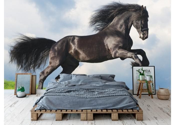 Fleece kuvatapetti Friesian Stallion Gallop in Field 400x260 cm kuvasuurennos