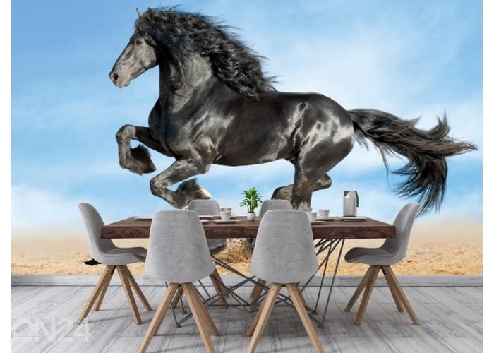 Fleece kuvatapetti Frisian Black Horse 368x254 cm kuvasuurennos