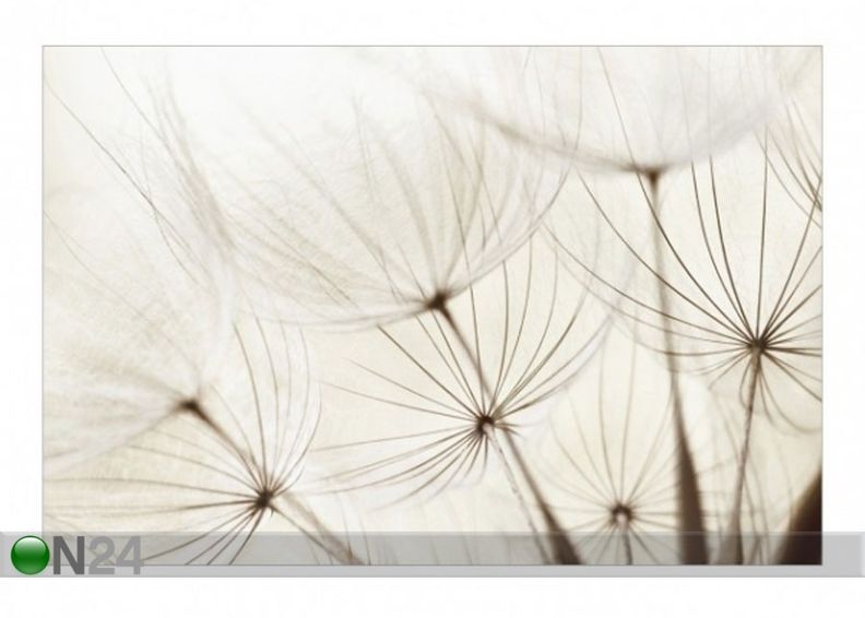 Fleece-kuvatapetti GENTLE GRASSES kuvasuurennos