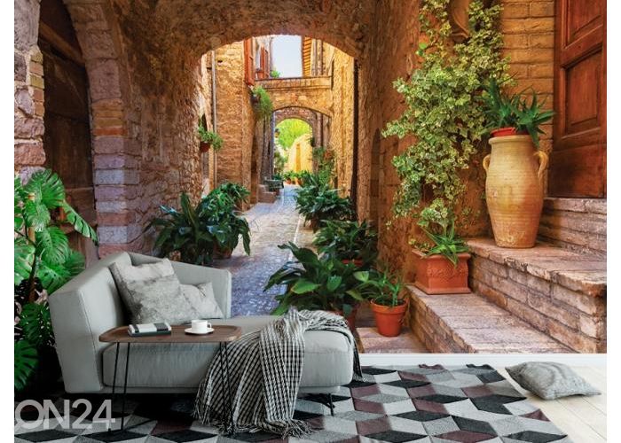 Fleece kuvatapetti Plants in Pots on Narrow Streets of the Ancient 368x254 cm kuvasuurennos
