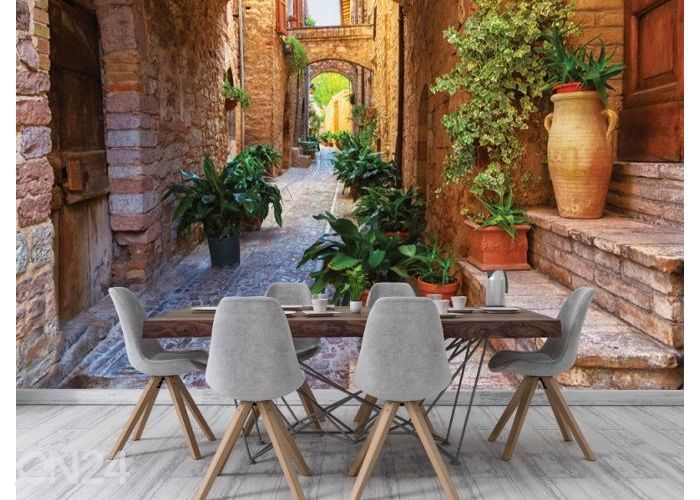 Fleece kuvatapetti Plants in Pots on Narrow Streets of the Ancient 368x254 cm kuvasuurennos