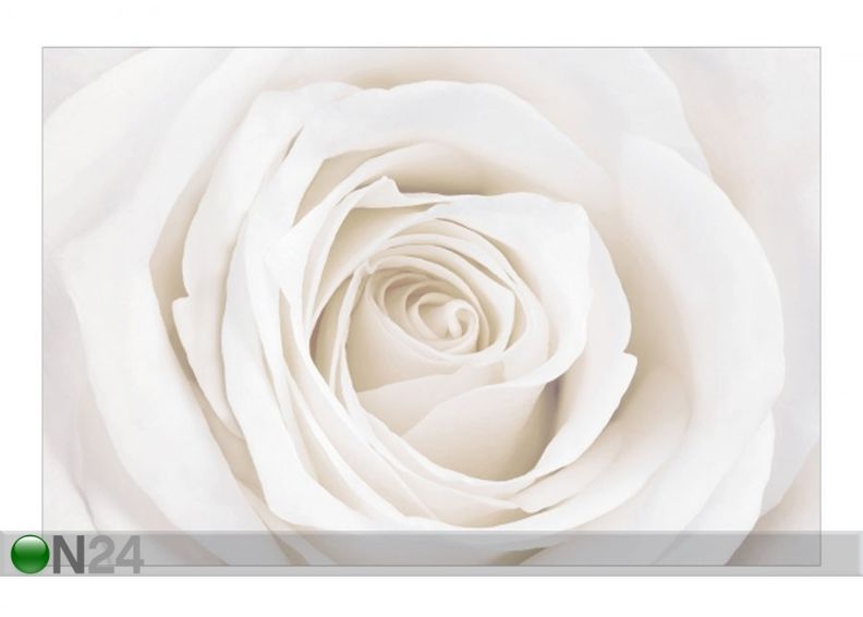 Fleece-kuvatapetti PRETTY WHITE ROSE kuvasuurennos