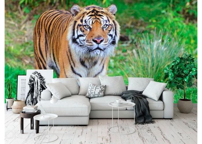 Fleece kuvatapetti Sumatran Tiger 400x260 cm kuvasuurennos