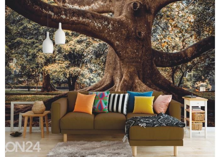 Fleece kuvatapetti Tree Root 400x260 cm kuvasuurennos