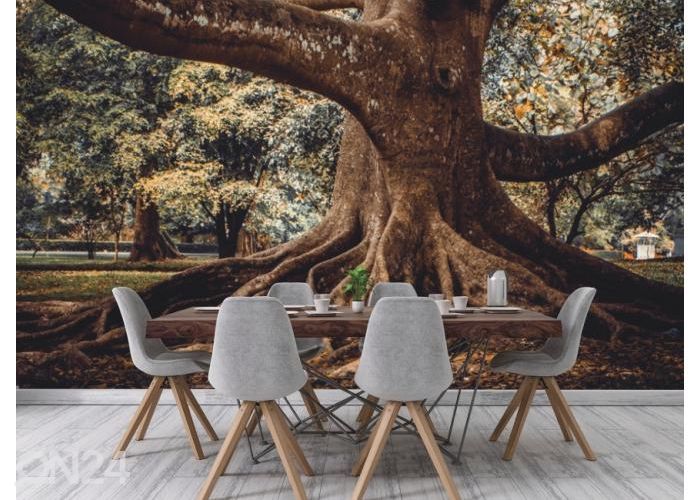 Fleece kuvatapetti Tree Root 416x290 cm kuvasuurennos