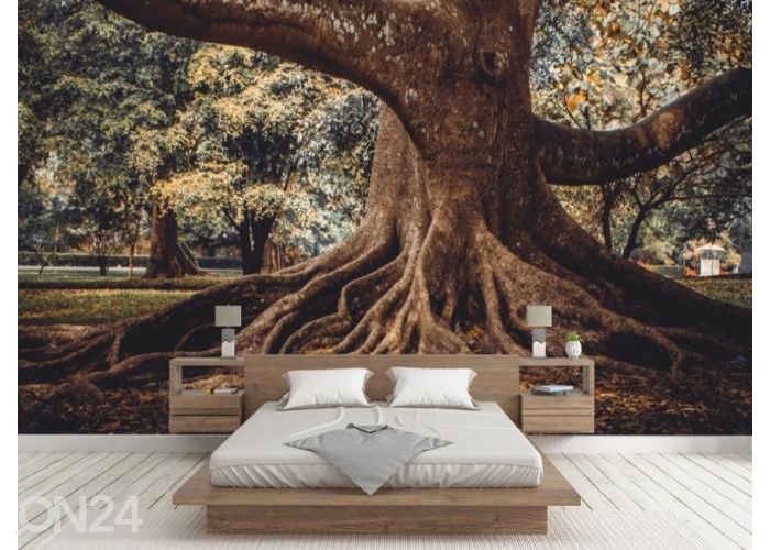 Fleece kuvatapetti Tree Root 416x290 cm kuvasuurennos