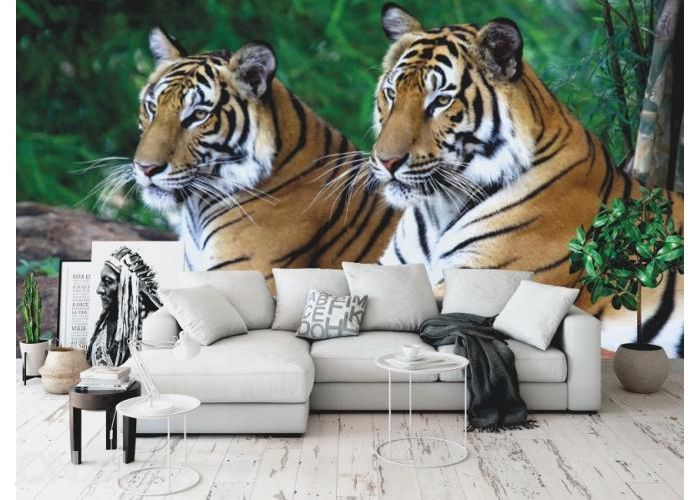 Fleece kuvatapetti Two Tigers On The Rock 368x254 cm kuvasuurennos