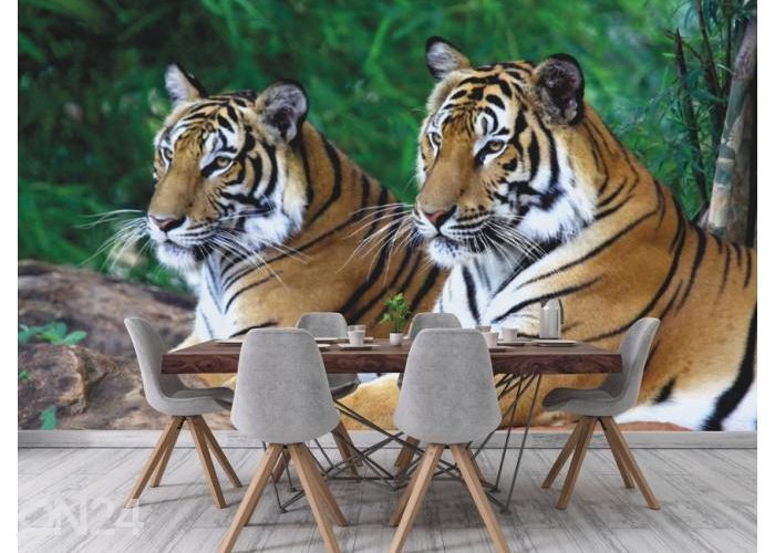 Fleece kuvatapetti Two Tigers On The Rock 368x254 cm kuvasuurennos