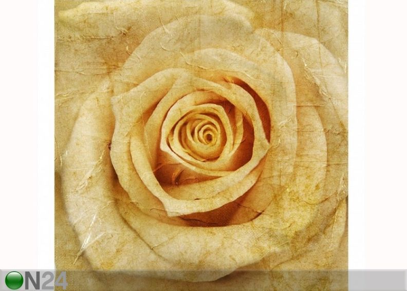 Fleece-kuvatapetti VINTAGE ROSE kuvasuurennos