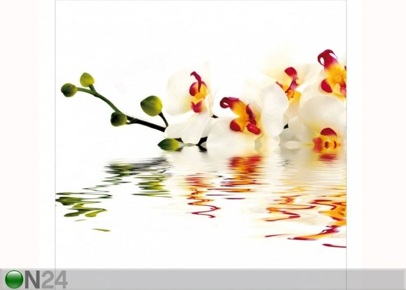 Fleece-kuvatapetti VIVID ORCHID WATERS kuvasuurennos
