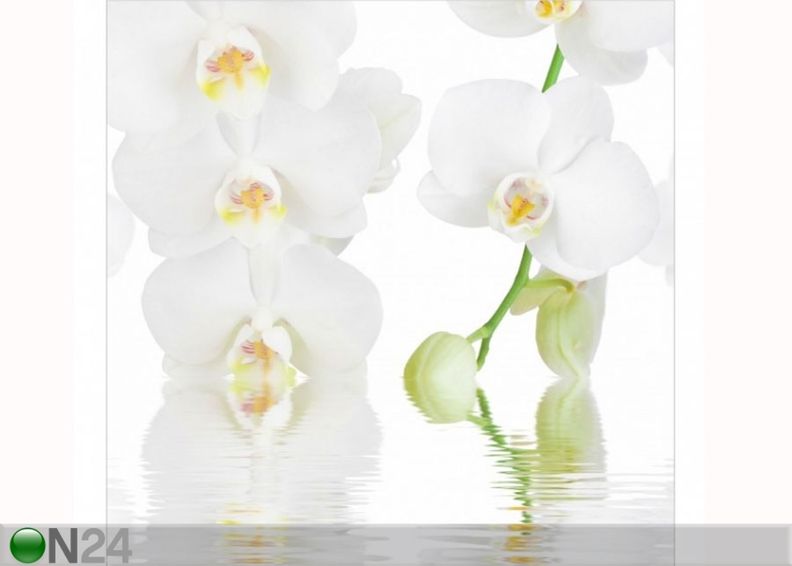 Fleece-kuvatapetti WELLNESS ORCHID kuvasuurennos