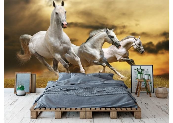 Fleece kuvatapetti White Horses 416x290 cm kuvasuurennos