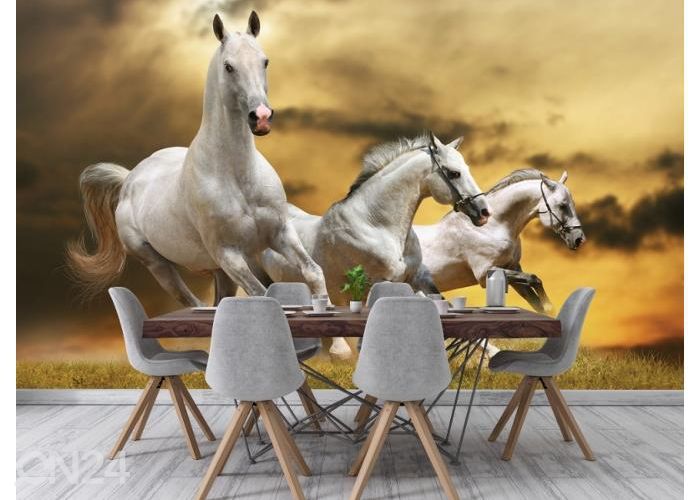 Fleece kuvatapetti White Horses 416x290 cm kuvasuurennos