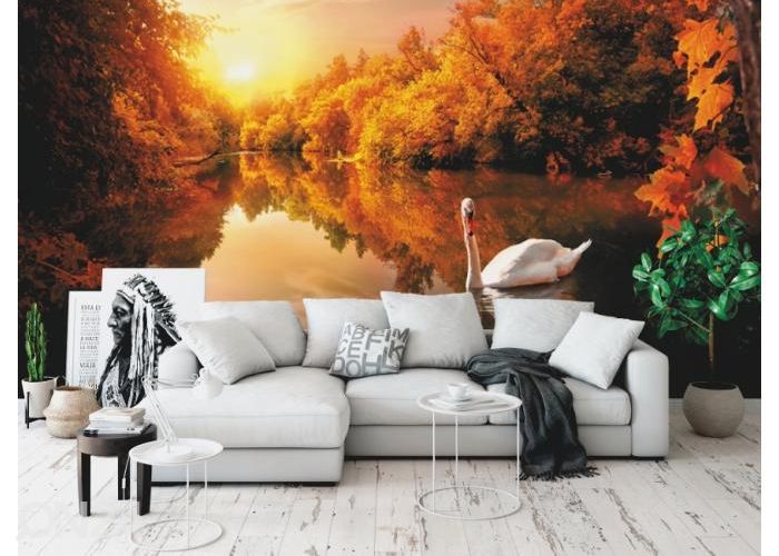 Fleece kuvatapetti White Swan On Autumn Pond 416x290 cm kuvasuurennos