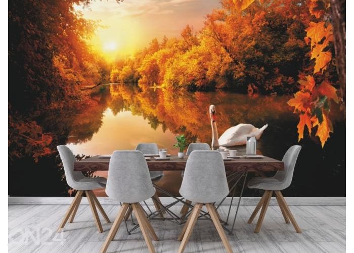 Fleece kuvatapetti White Swan On Autumn Pond 416x290 cm kuvasuurennos