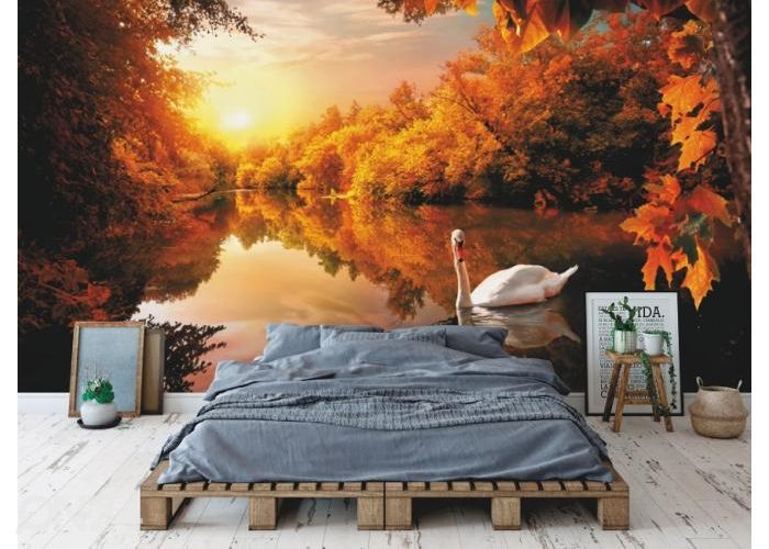 Fleece kuvatapetti White Swan On Autumn Pond 416x290 cm kuvasuurennos