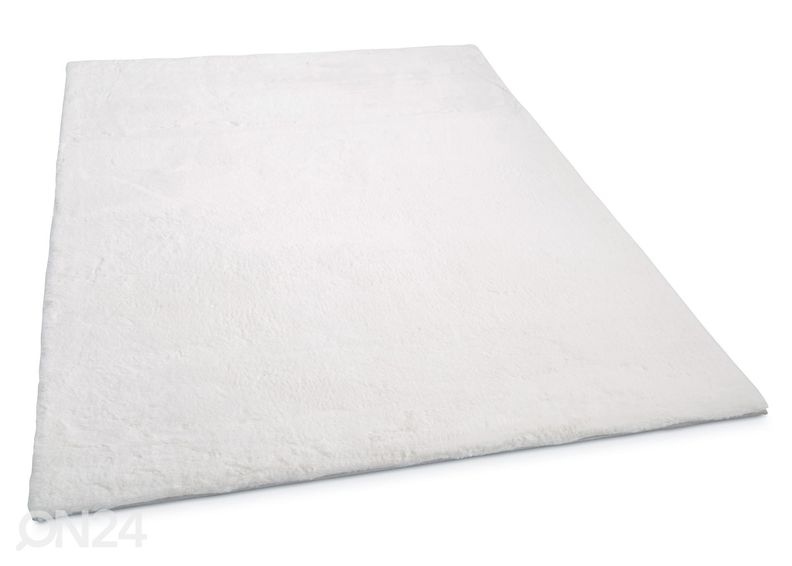 Gino Falcone matto Chiara 40x60 cm kuvasuurennos