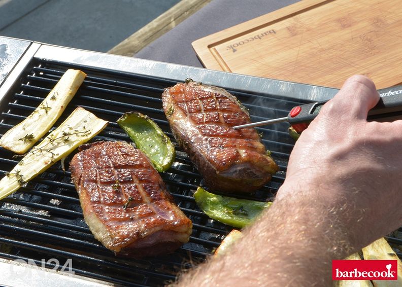 Hiiligrilli Barbecook Karl kuvasuurennos