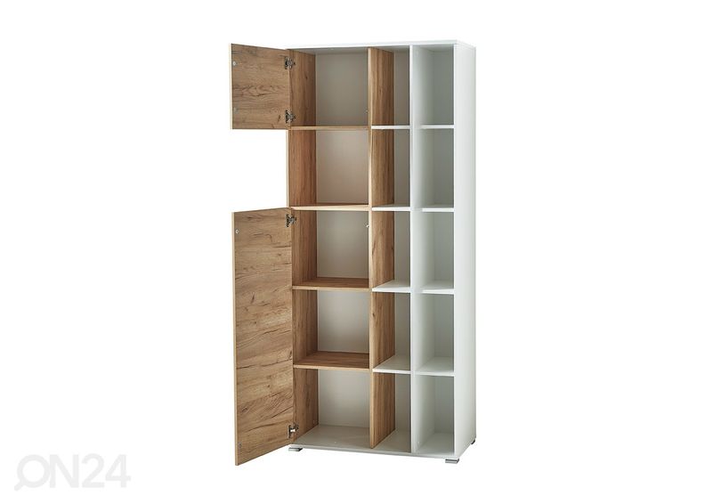 Hylly Lioni kuvasuurennos