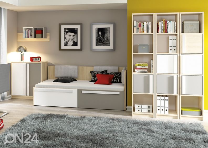 Hyllykkö Carlo 42 kuvasuurennos