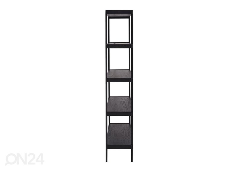 Hyllykkö Galen kuvasuurennos