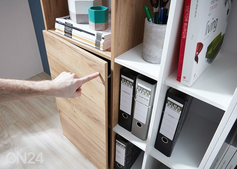 Hyllystö LIONI kuvasuurennos