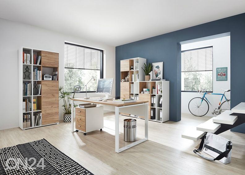 Hyllystö LIONI kuvasuurennos