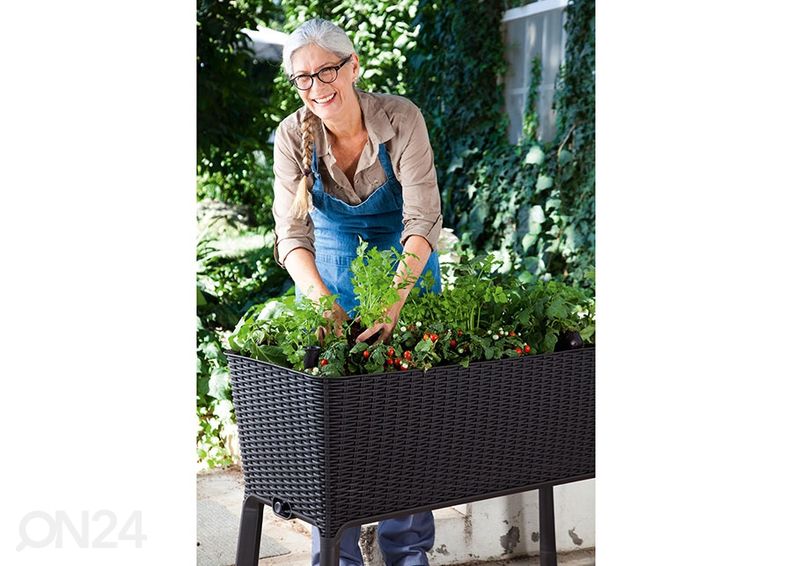 Istutuslaatikko Keter Easy Grow, 114x49x76 cm, antrasiitti kuvasuurennos