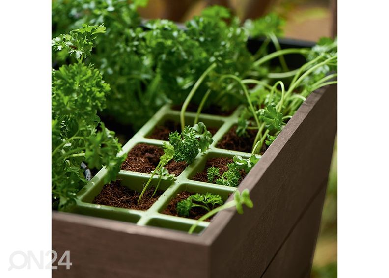 Istutuslaatikko Keter Urban Bloomer, ruskea, 82x37x78 cm kuvasuurennos