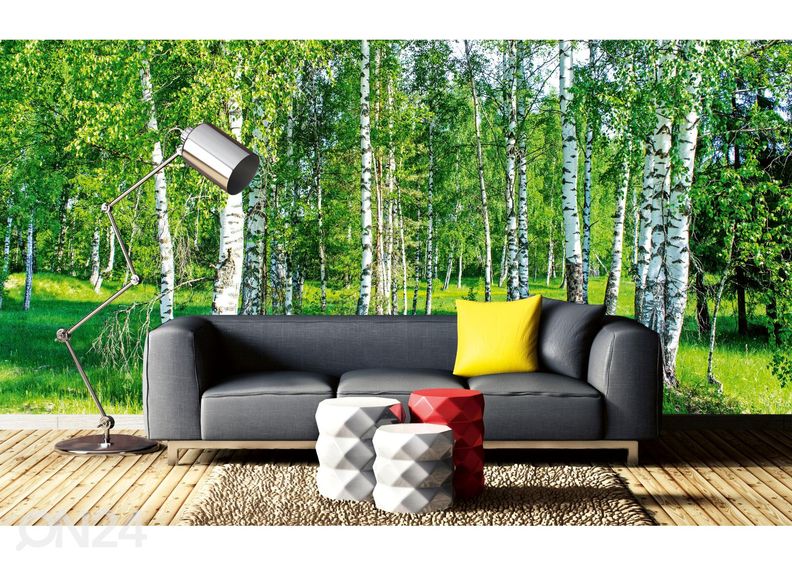 Itsekiinnityvä kuvatapetti Wall Mural Birch Grow kuvasuurennos