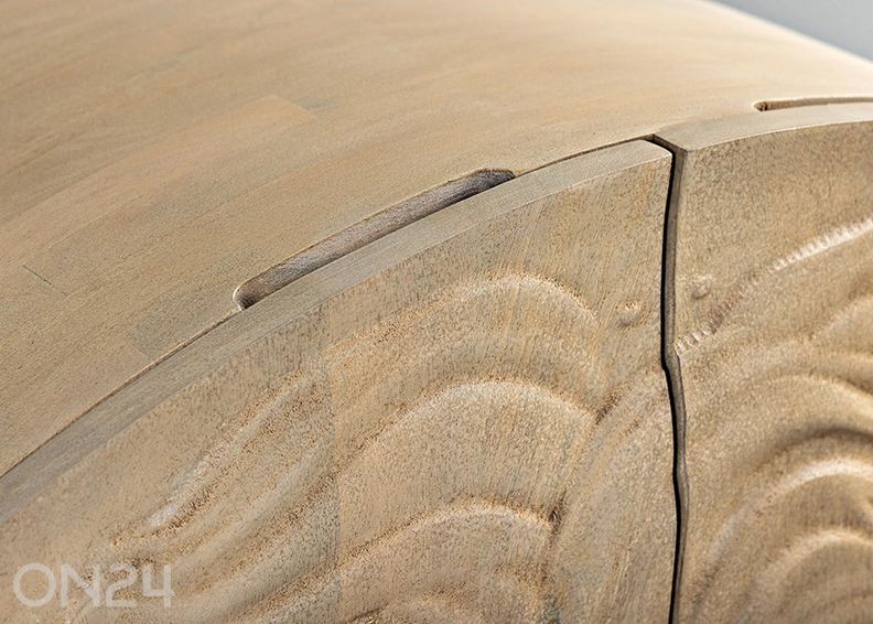 Kaappi Lion kuvasuurennos