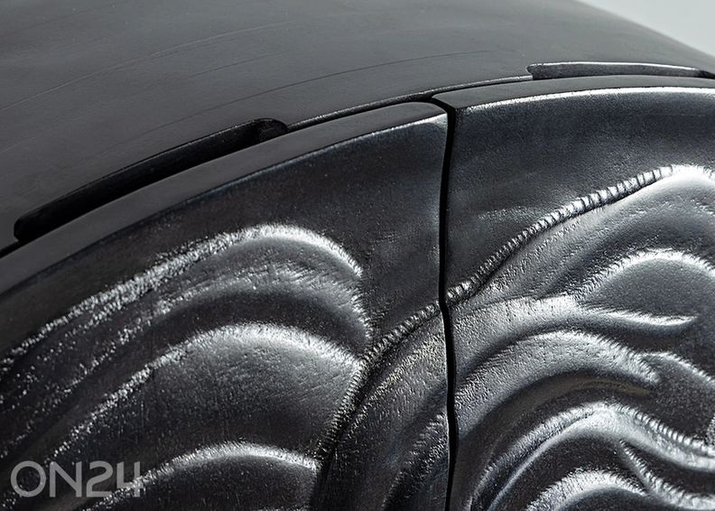 Kaappi Lion kuvasuurennos